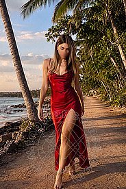 Foto di Transex Italiana 